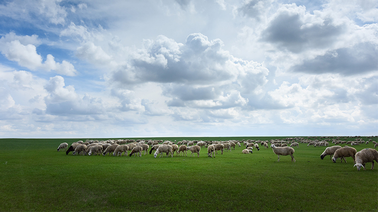 关于防雷器的挑选有哪些意见？？？？？